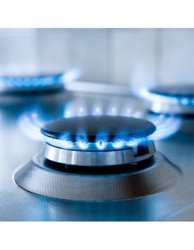 Formation Continue Gaz - FDTI